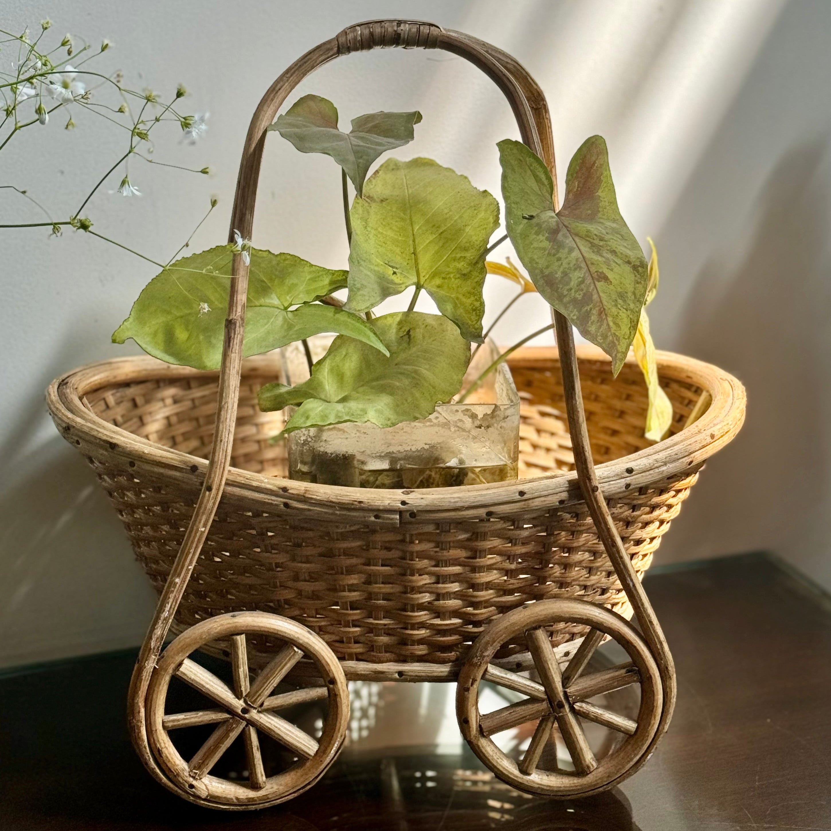 CANE BASKET ON WHEELS