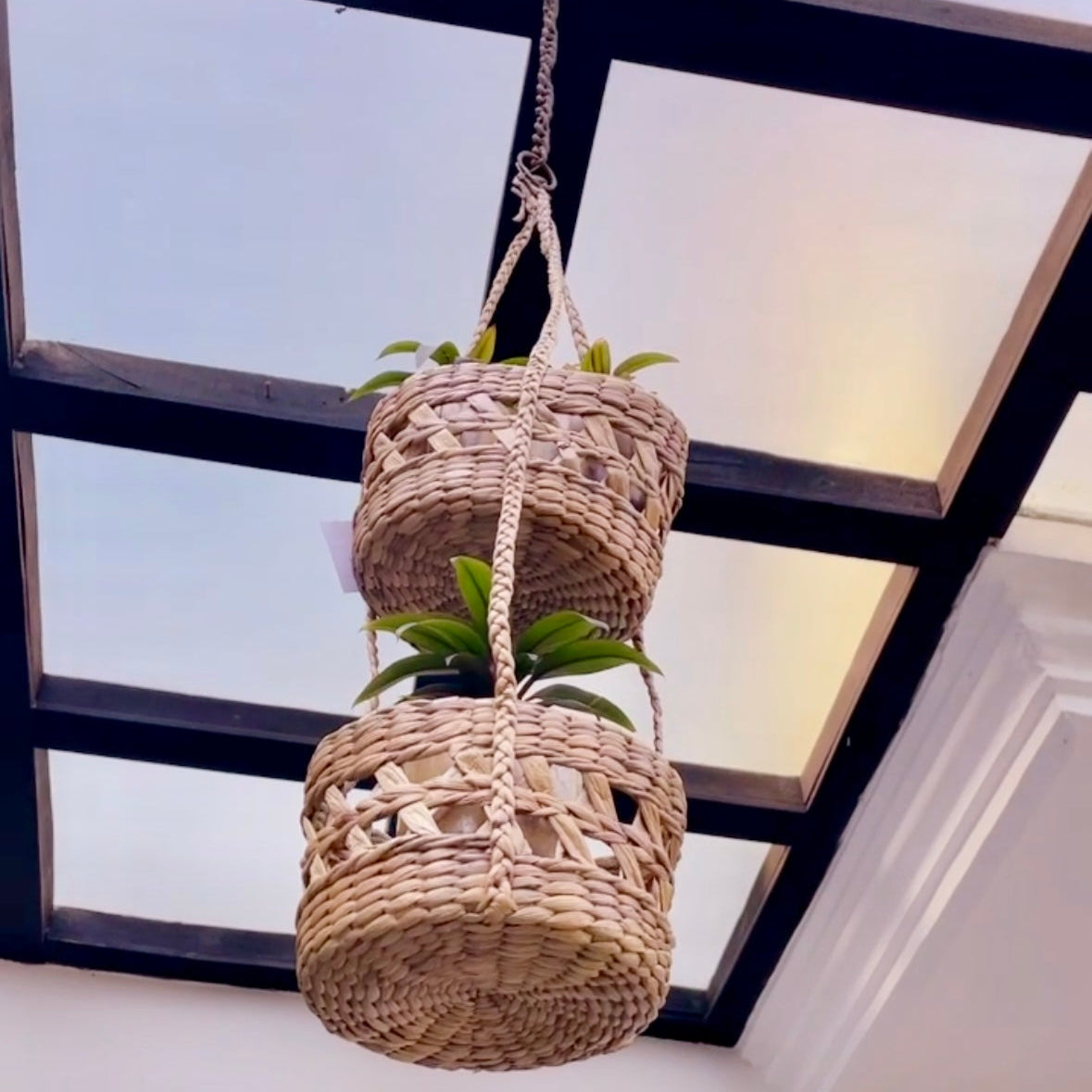 HANGING PLANTER