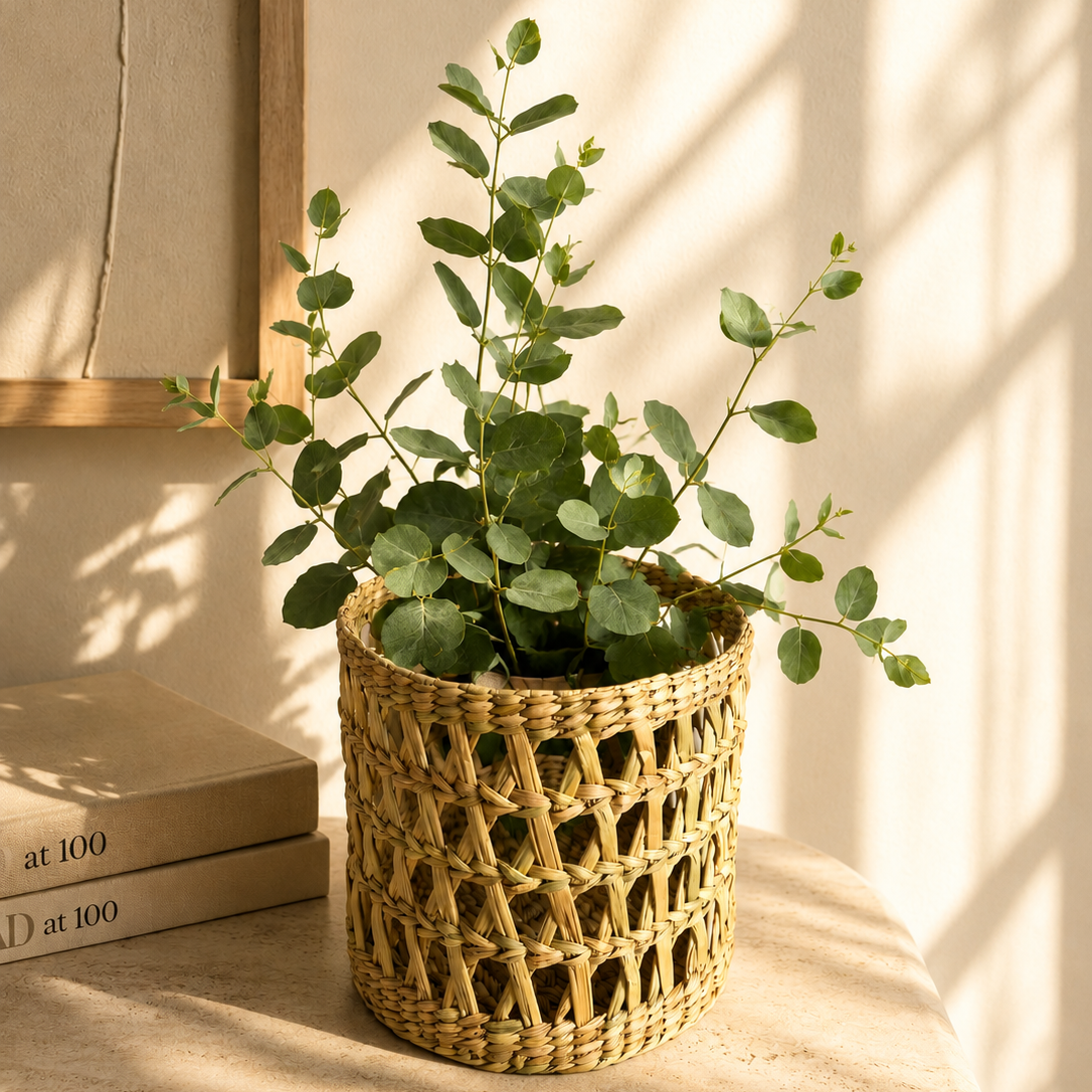 KAUNA PLANTER