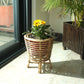 SPIRAL CANE BASKET