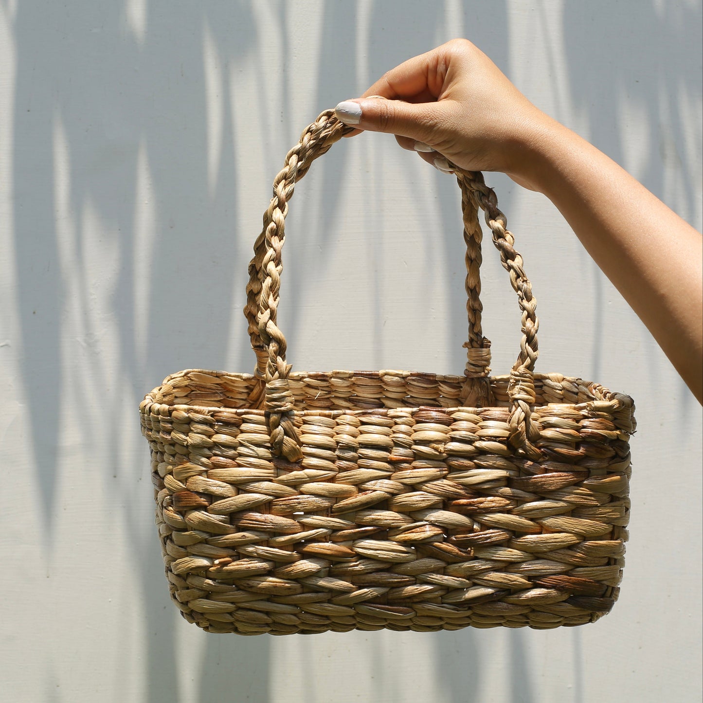 AURORA BASKET